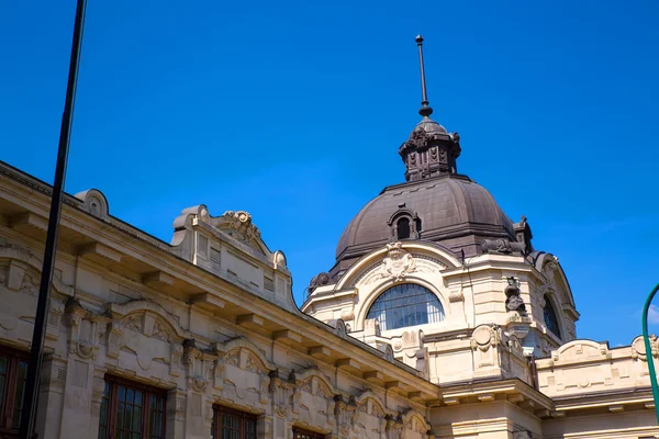 Szechenyi furdo Budapeşte ' — Stok fotoğraf